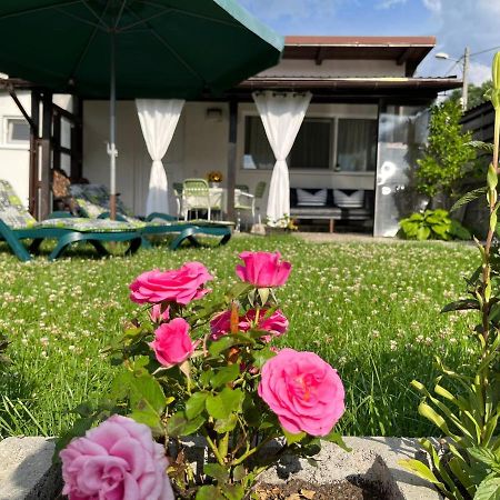 萨彻勒Charmante Petite Maison Transylvanie别墅 外观 照片