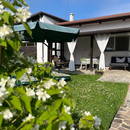 萨彻勒Charmante Petite Maison Transylvanie别墅 外观 照片