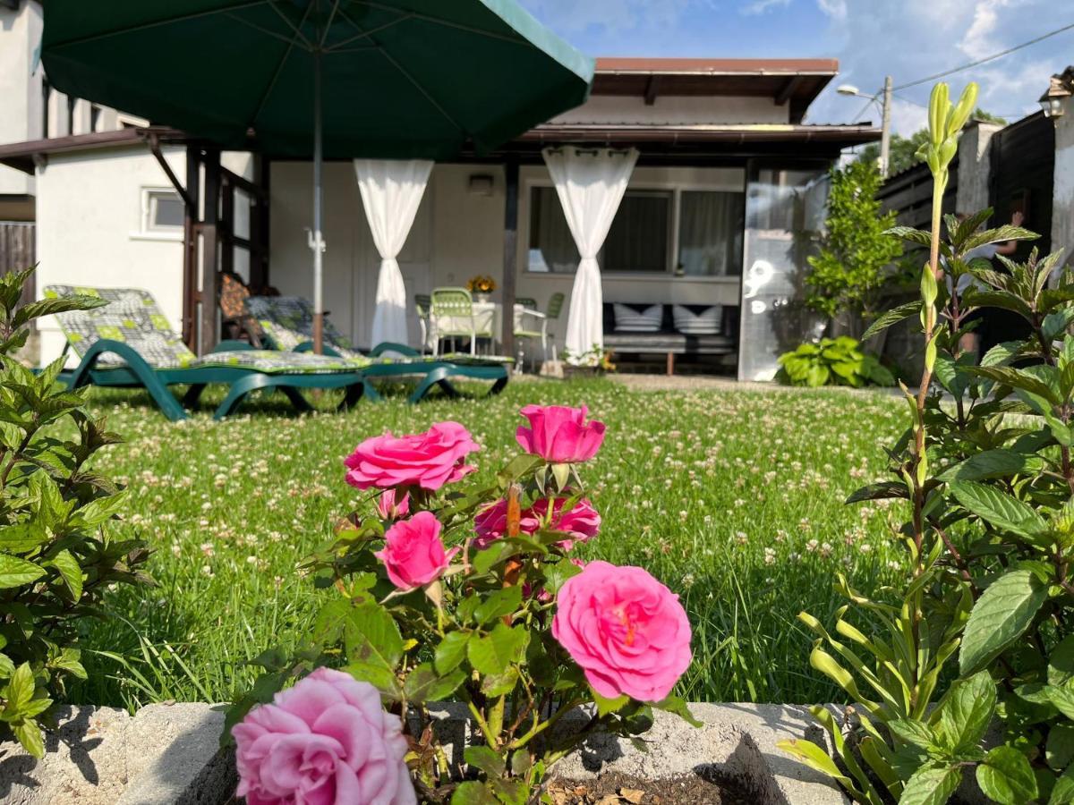 萨彻勒Charmante Petite Maison Transylvanie别墅 外观 照片