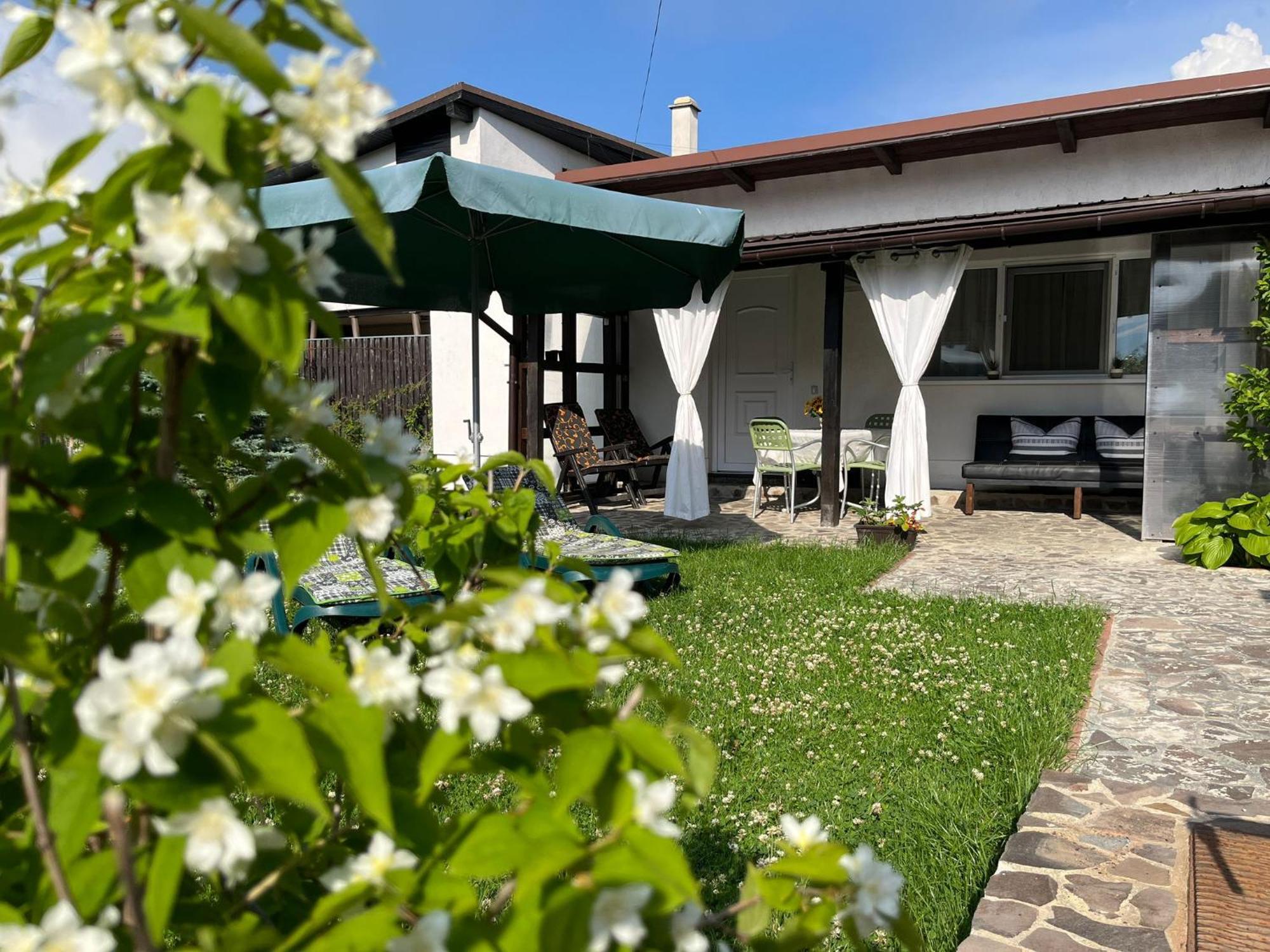 萨彻勒Charmante Petite Maison Transylvanie别墅 外观 照片