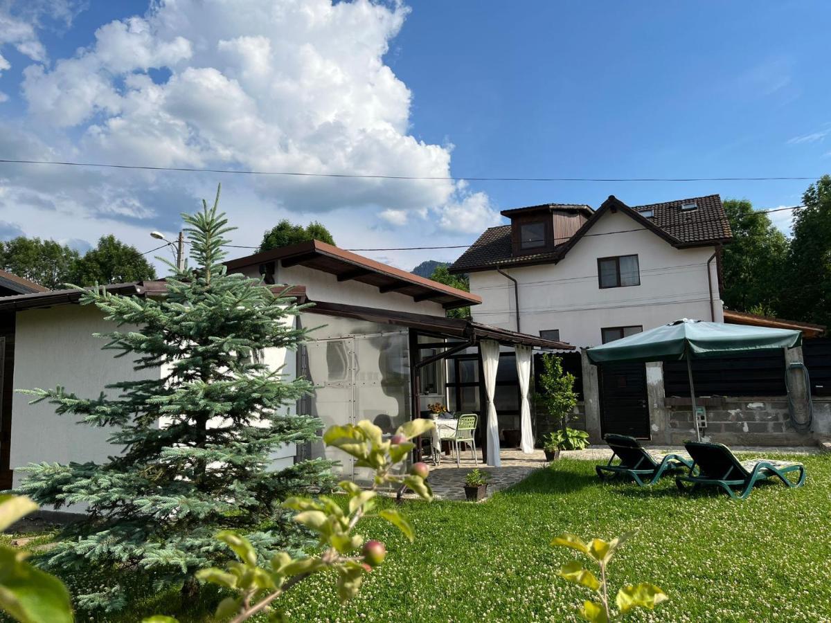 萨彻勒Charmante Petite Maison Transylvanie别墅 外观 照片