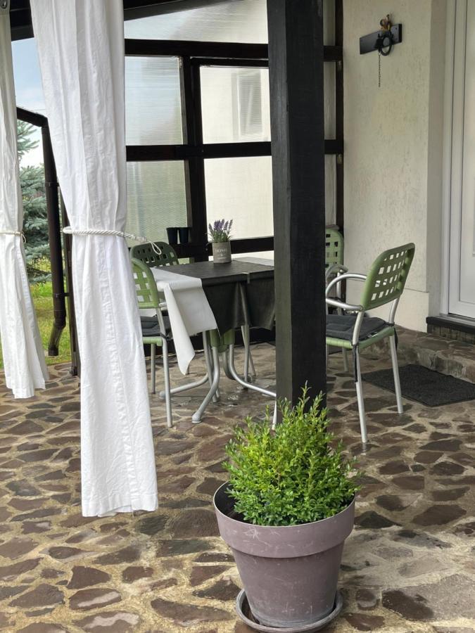 萨彻勒Charmante Petite Maison Transylvanie别墅 外观 照片