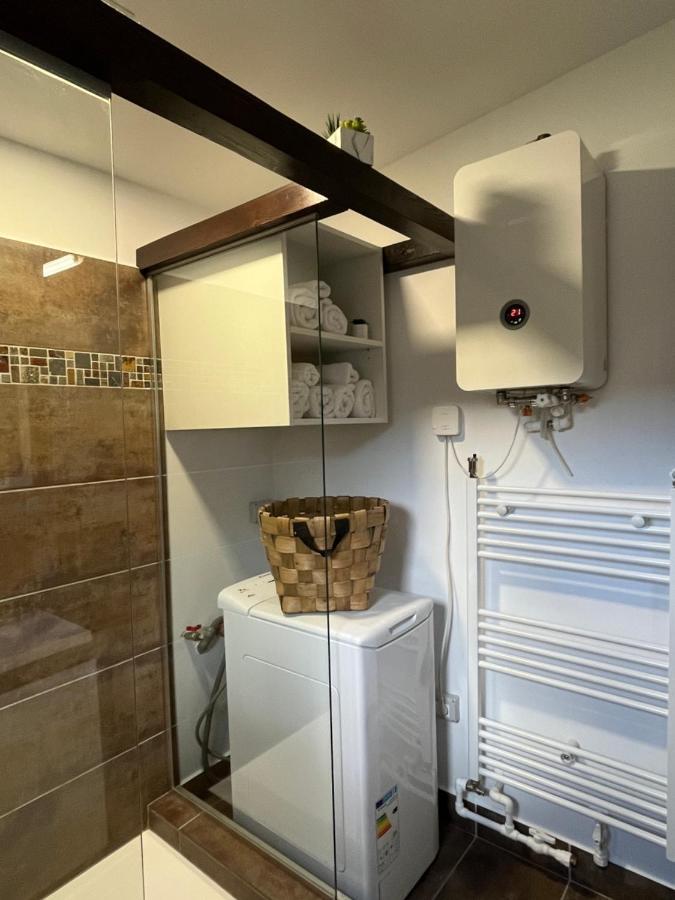 萨彻勒Charmante Petite Maison Transylvanie别墅 外观 照片