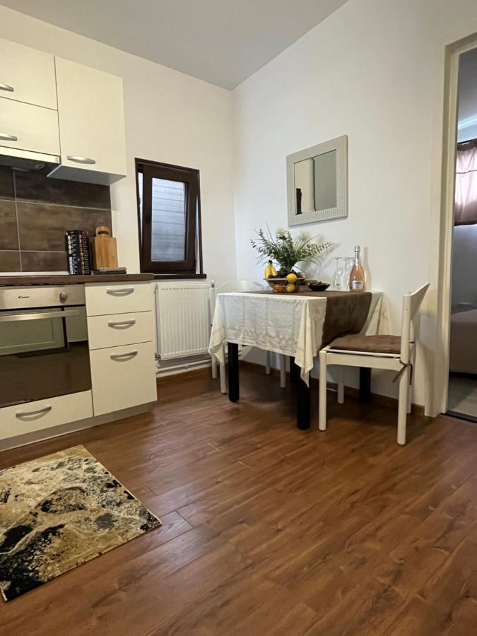 萨彻勒Charmante Petite Maison Transylvanie别墅 外观 照片