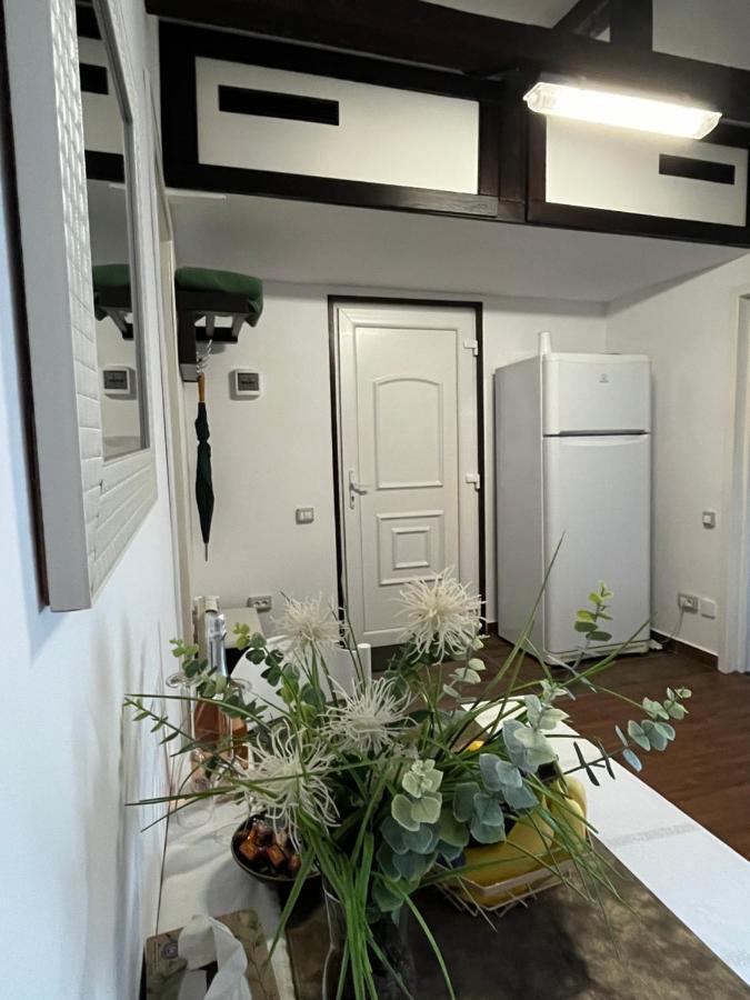 萨彻勒Charmante Petite Maison Transylvanie别墅 外观 照片