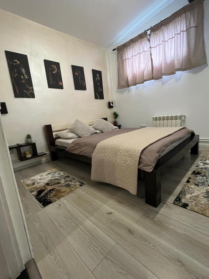 萨彻勒Charmante Petite Maison Transylvanie别墅 外观 照片